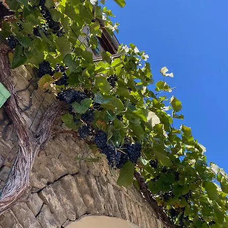 Neu Maison Eveline Mit Haestens Betten & Privat - Chez Douverne Sommerach